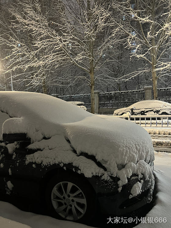 是大雪来了_景色