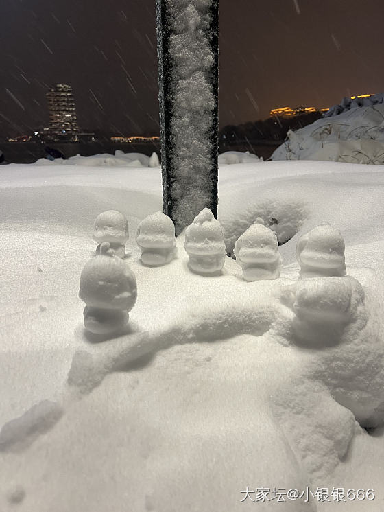 是大雪来了_景色