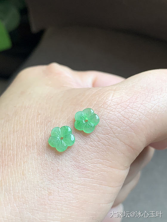 25/3/2，糖果色小可爱~_翡翠
