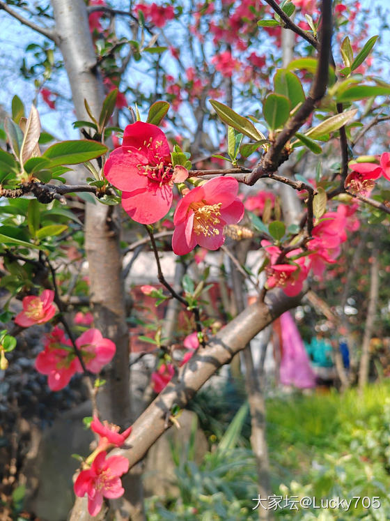 3月3日九九天_闲聊