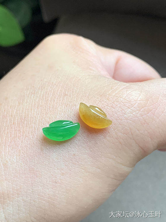25/3/2，糖果色小可爱~_翡翠