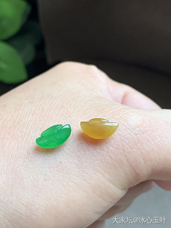 25/3/2，糖果色小可爱~_翡翠