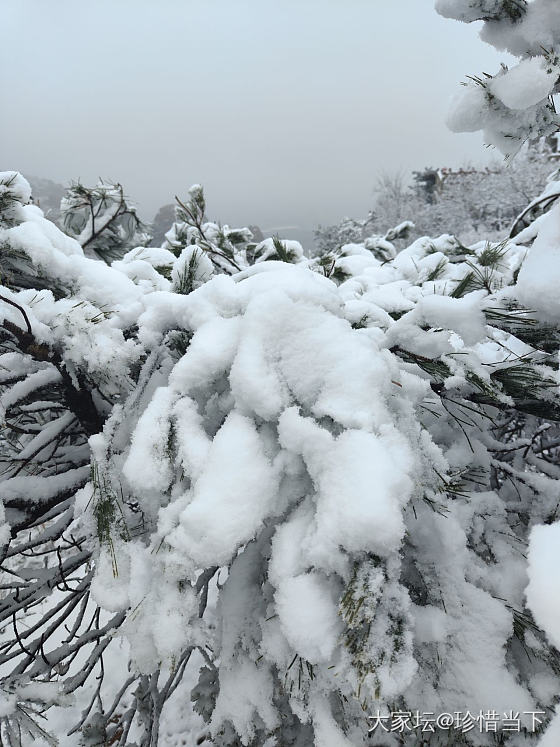 看雪_景色