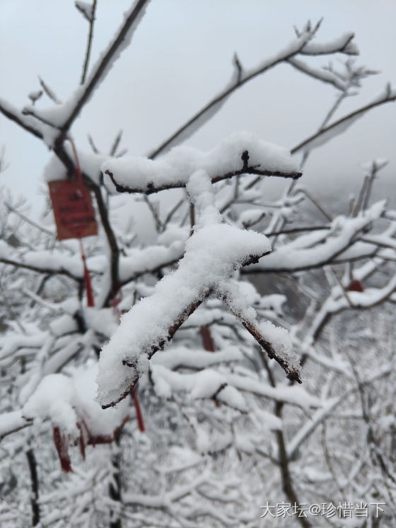 看雪_景色