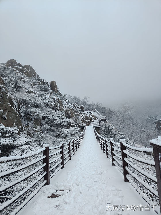 看雪_景色