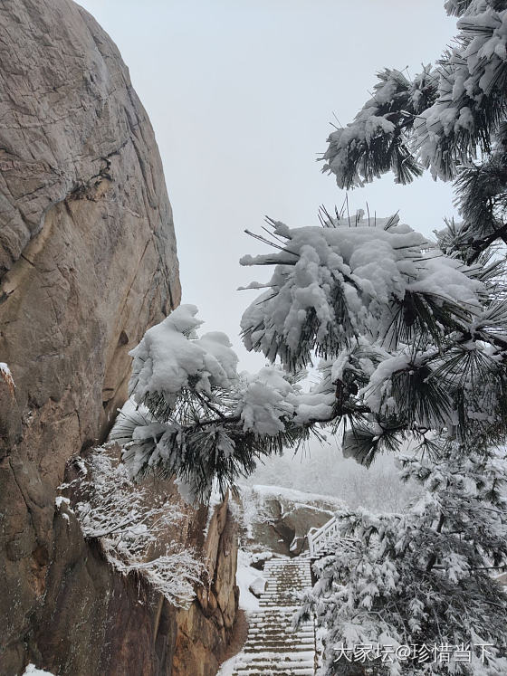 看雪_景色