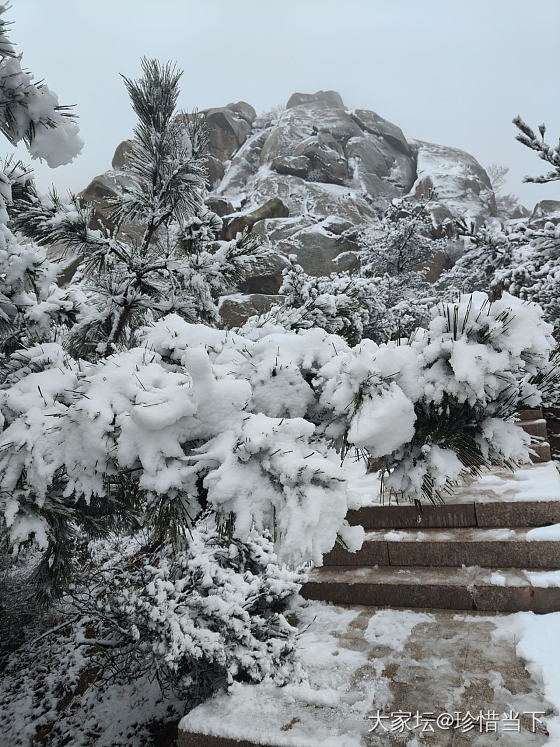 看雪_景色