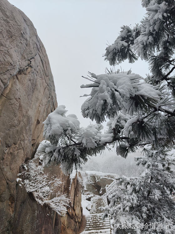 看雪_景色