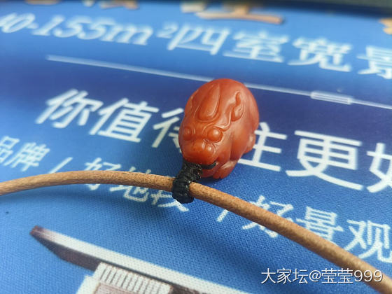 周五，陪我上班的小可爱😘😘_南红