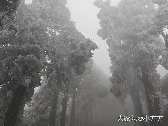 特种兵一日游_旅游