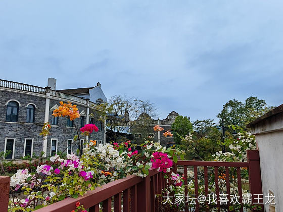 提前过节_闲聊