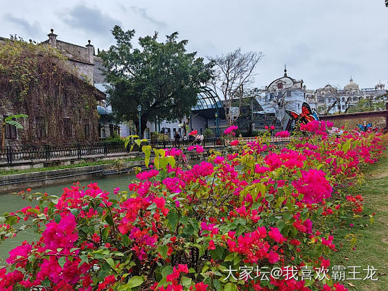 提前过节_闲聊