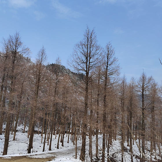 特种兵一日游_旅游
