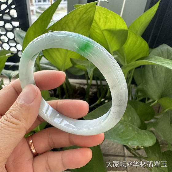 阳绿大口径乌鸡手镯62mm_翡翠