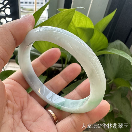 阳绿大口径乌鸡手镯62mm_翡翠