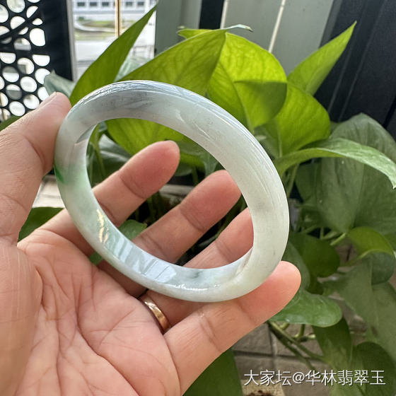 阳绿大口径乌鸡手镯62mm_翡翠