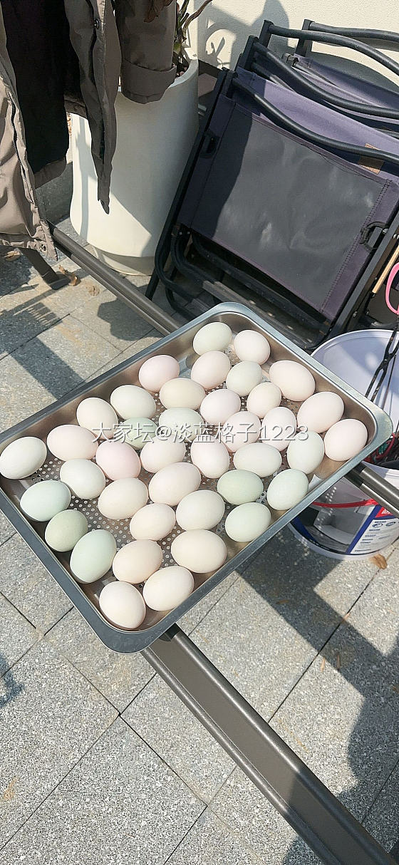 女神和女神经的区别_美食