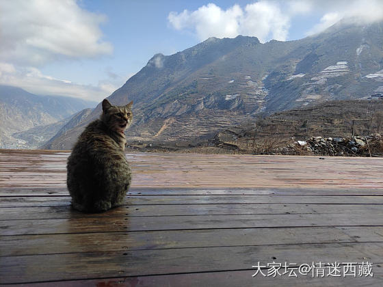 三八妇女节的雪山之约_旅游