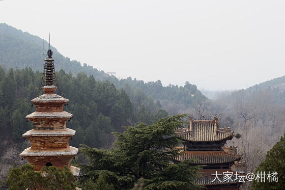 周末小游_闲聊