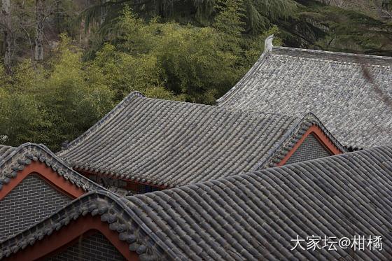周末小游_闲聊