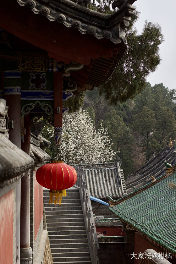 周末小游_闲聊
