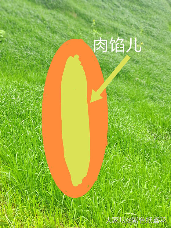 开心一刻：黑暗料理来了——香菜肉饼_美食