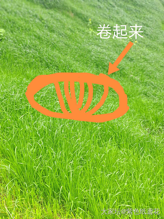 开心一刻：黑暗料理来了——香菜肉饼_美食