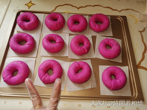 我还在坚持😁_美食