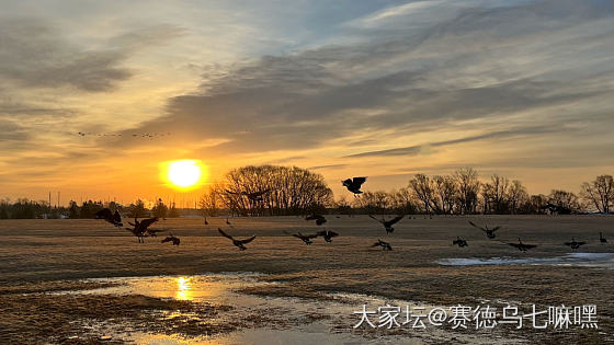 心中有光何惧荒凉，_景色