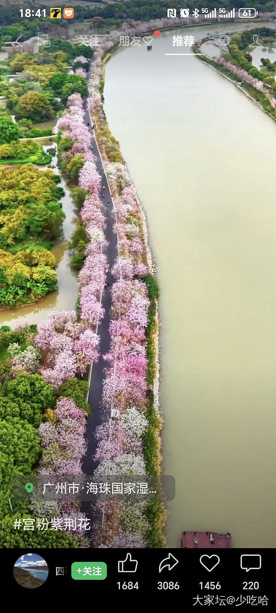 花城_花