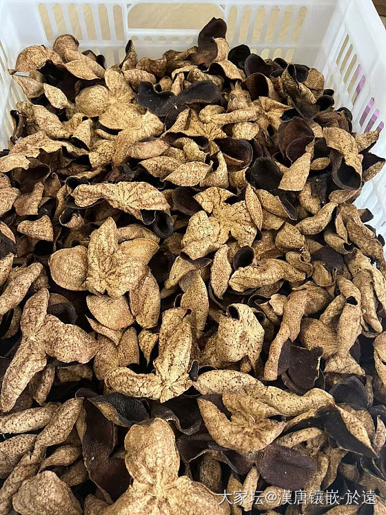 求推荐靠谱陈皮_食材