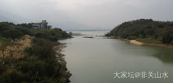 春天里的落叶林_景色旅游