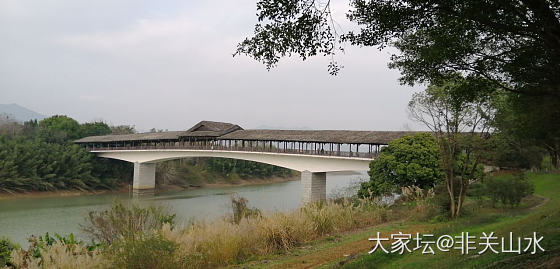 春天里的落叶林_景色旅游