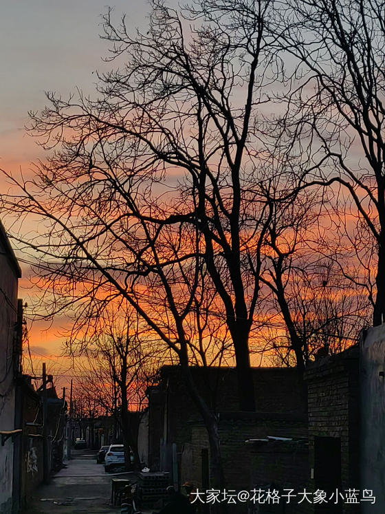 普通小村庄的夕阳_景色