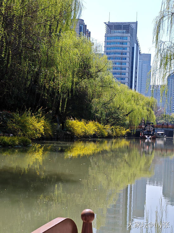 西湖美景三月天，来看花呀🥰_旅游