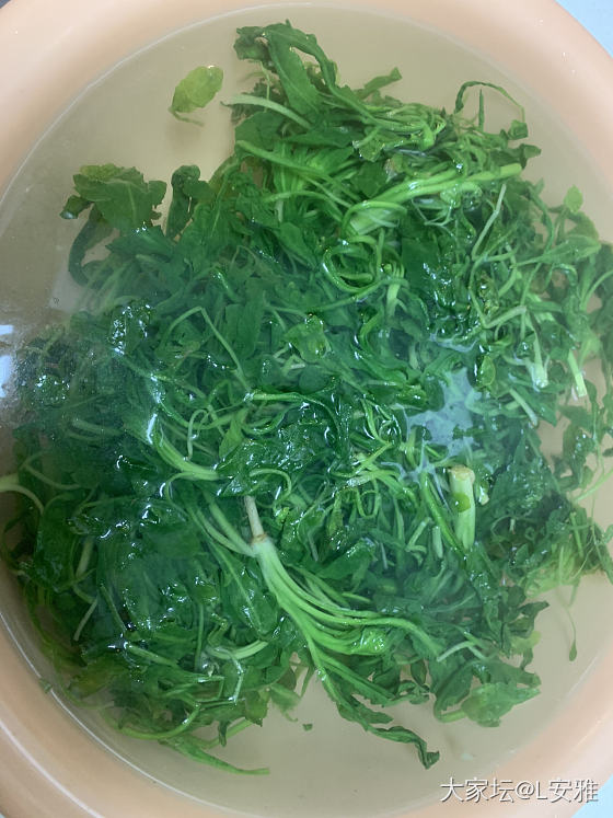 周日老家挖荠菜中……_美食