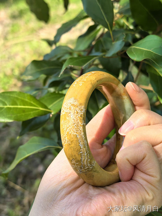 重口味手镯_玉石