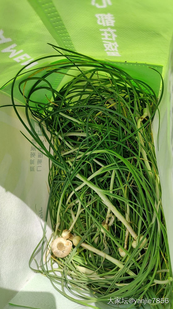 忙碌的周六_旅游