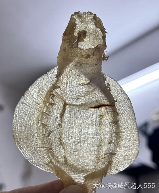 眼镜蛇看见了都得懵吧？_补品