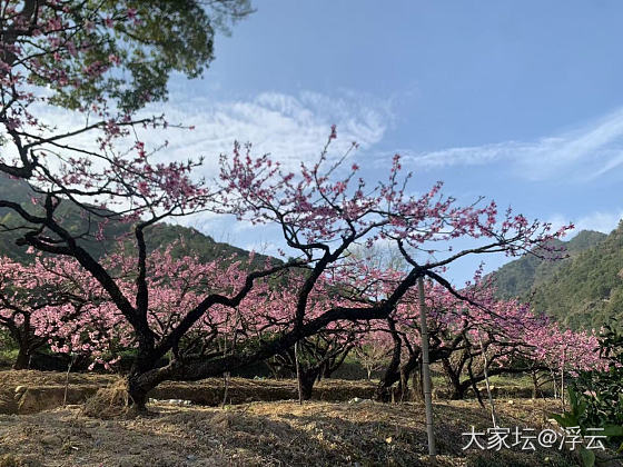 30℃，一个火热的春日_植物