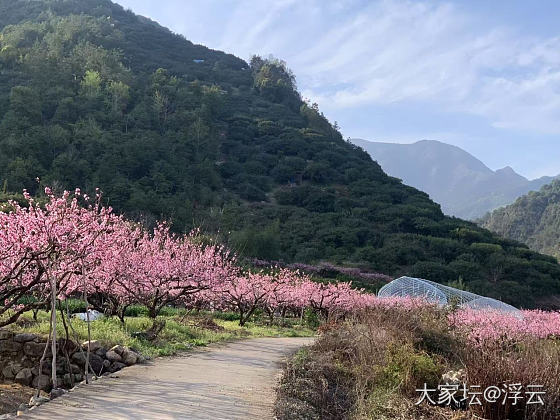 30℃，一个火热的春日_植物