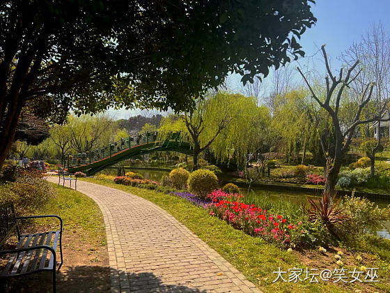 也留个春天印记

今日春游，上海的气温疯了，居然三月份就要30℃了。冒着“高温”..._花
