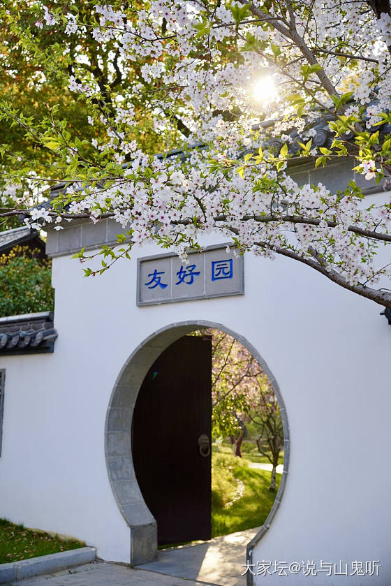 来一波花花_花