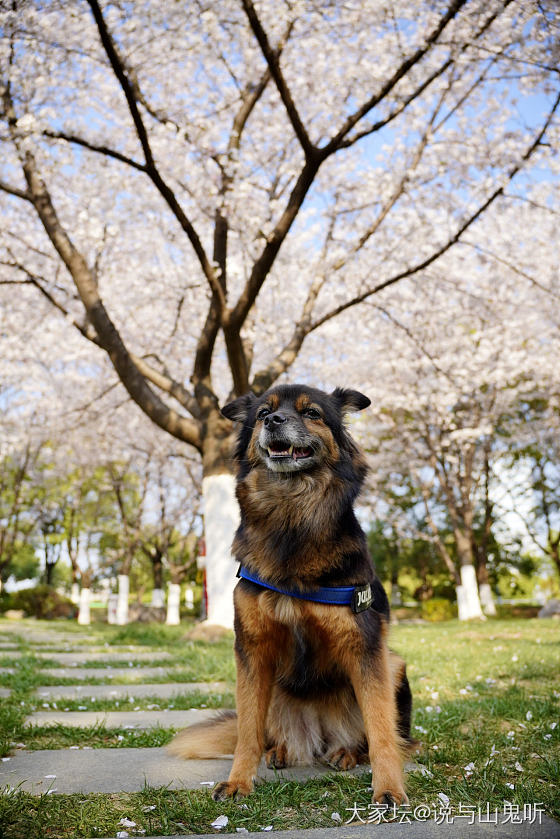 来一波花花_花