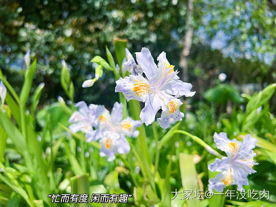 春天 逛公园才是正经事～_植物