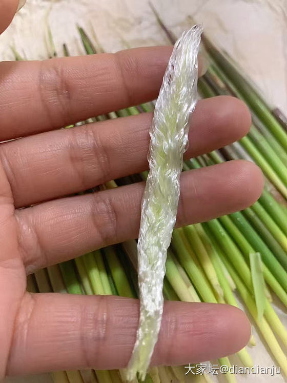童年的美好回忆—谷荻_植物