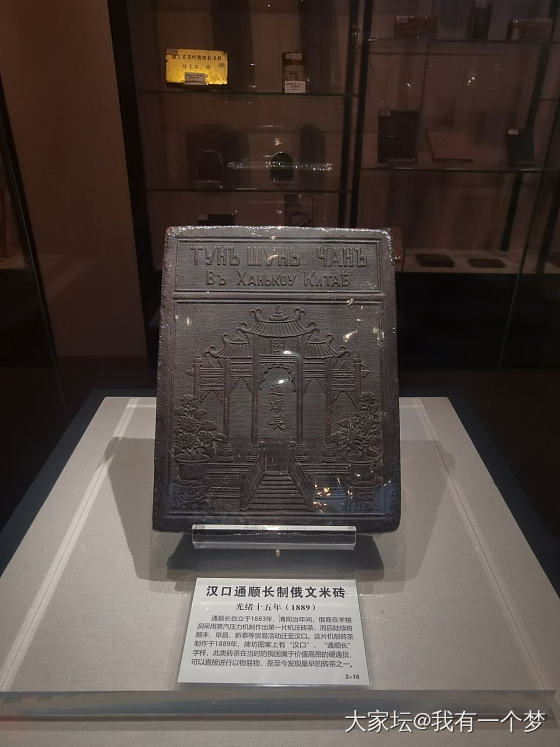 今天请假，一个人去和春天约会了_旅游