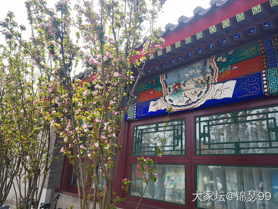 北京的花季_花