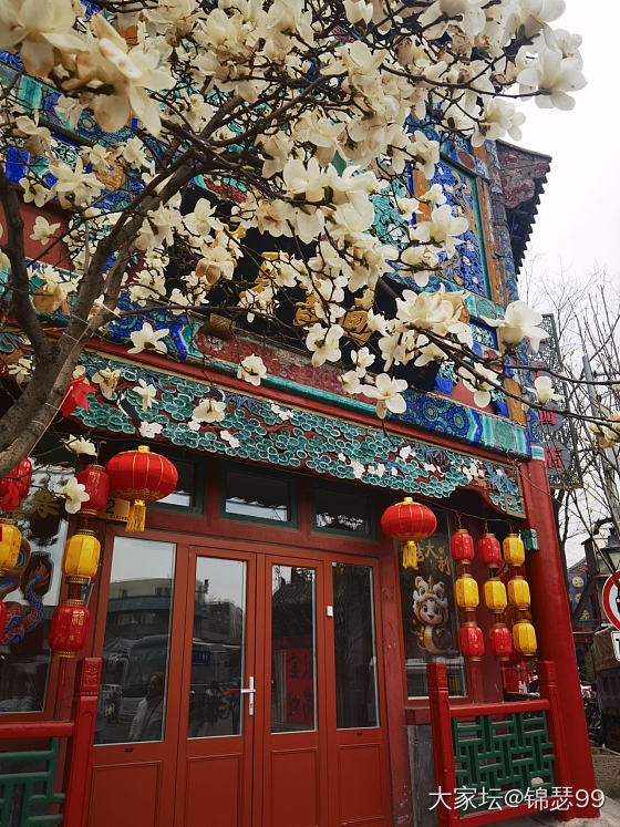 北京的花季_花