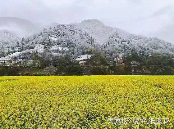 好梦幻的天气_娱乐八卦
